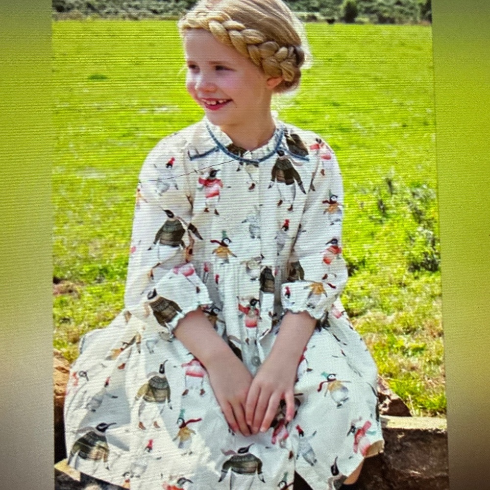 Pink Chicken Charlie Penguins On Ice Dress